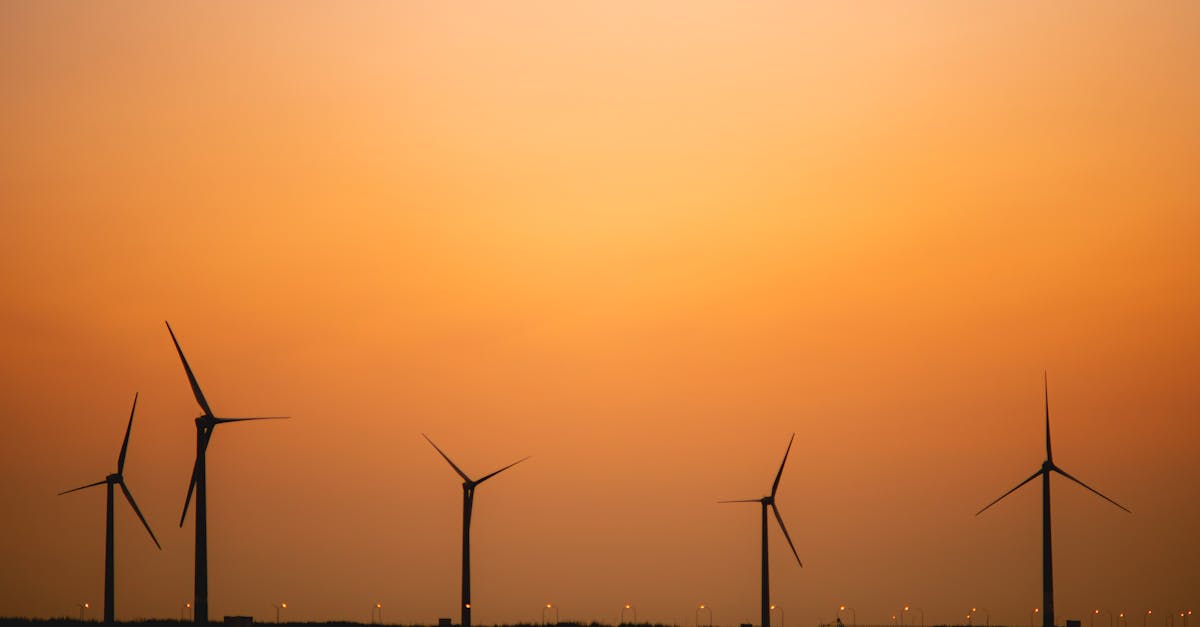 découvrez les enjeux et les stratégies de la transition durable pour un avenir respectueux de l'environnement. ensemble, construisons un monde où le développement économique et la protection de la planète vont de pair.