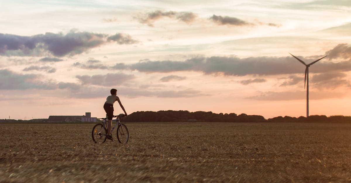 découvrez l'importance du développement durable pour un avenir respectueux de l'environnement. apprenez des stratégies innovantes pour adopter un mode de vie éco-responsable et participer à la protection de notre planète.