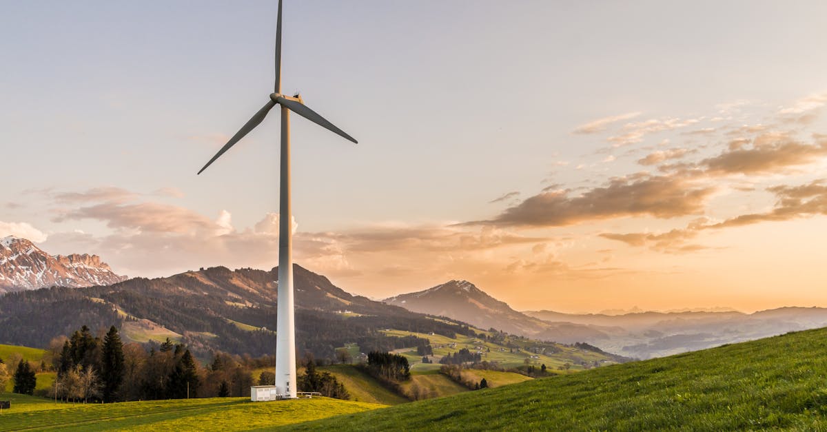 découvrez comment la durabilité transforme notre monde, en promouvant des pratiques respectueuses de l'environnement, économiques et sociales pour un avenir plus vert. explorez les initiatives, les innovations et les solutions pour un mode de vie éco-responsable.