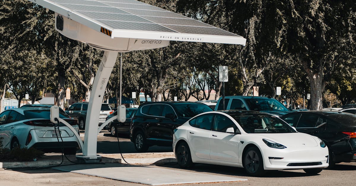 découvrez comment l'innovation durable transforme notre avenir. explorez des solutions écologiques et des technologies innovantes qui contribuent à un monde plus respectueux de l'environnement.