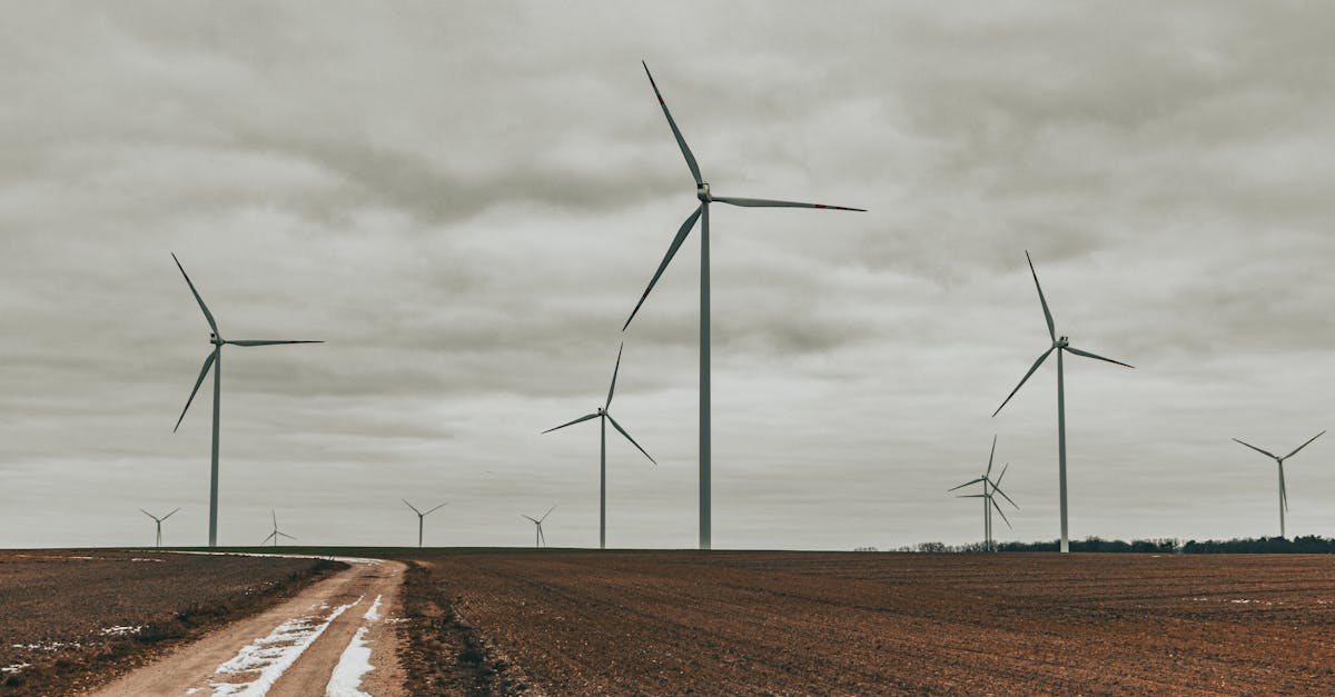découvrez les enjeux et les solutions de la transition énergétique, un mouvement essentiel pour un avenir durable. explorez les nouvelles technologies, les énergies renouvelables et les stratégies innovantes qui transforment notre manière de consommer et de produire de l'énergie.