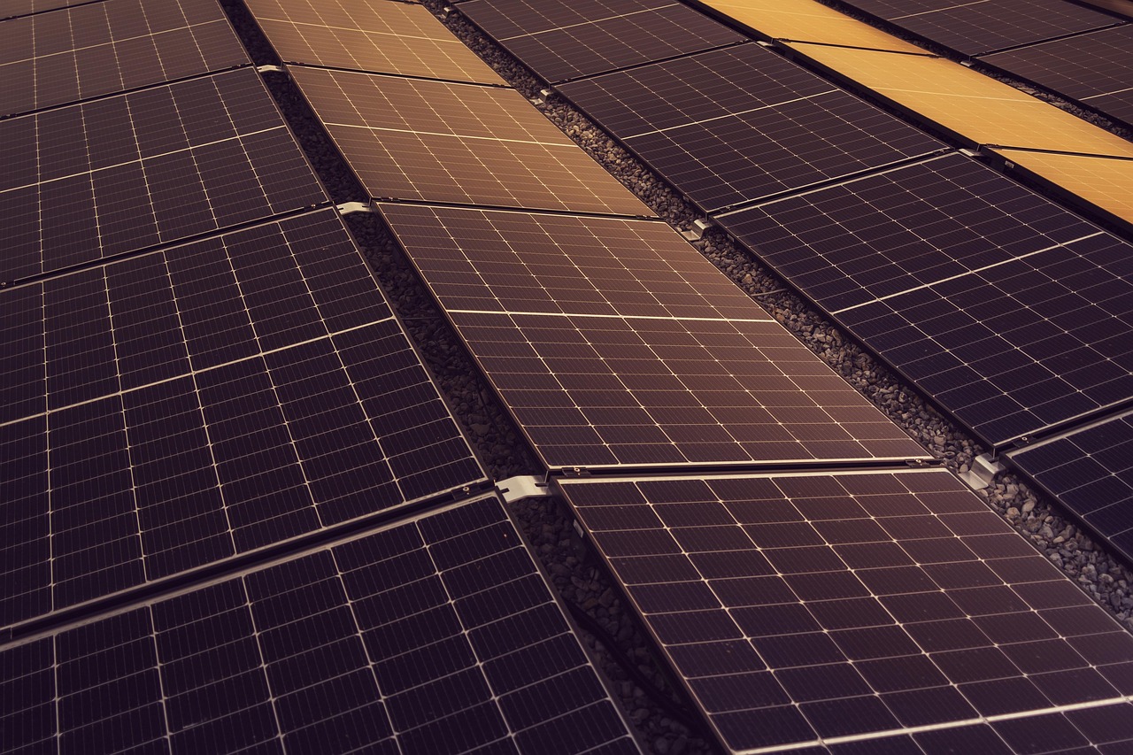découvrez comment adopter des pratiques durables pour préserver l'environnement, optimiser vos ressources et favoriser un avenir responsable grâce à des conseils et solutions sur la durabilité.