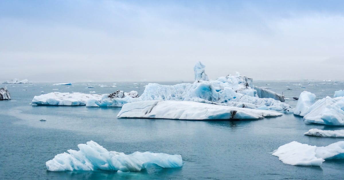 découvrez les enjeux majeurs du changement climatique, ses impacts sur notre planète et les solutions pour un avenir durable. informez-vous sur les actions à entreprendre pour lutter contre cette crise mondiale.