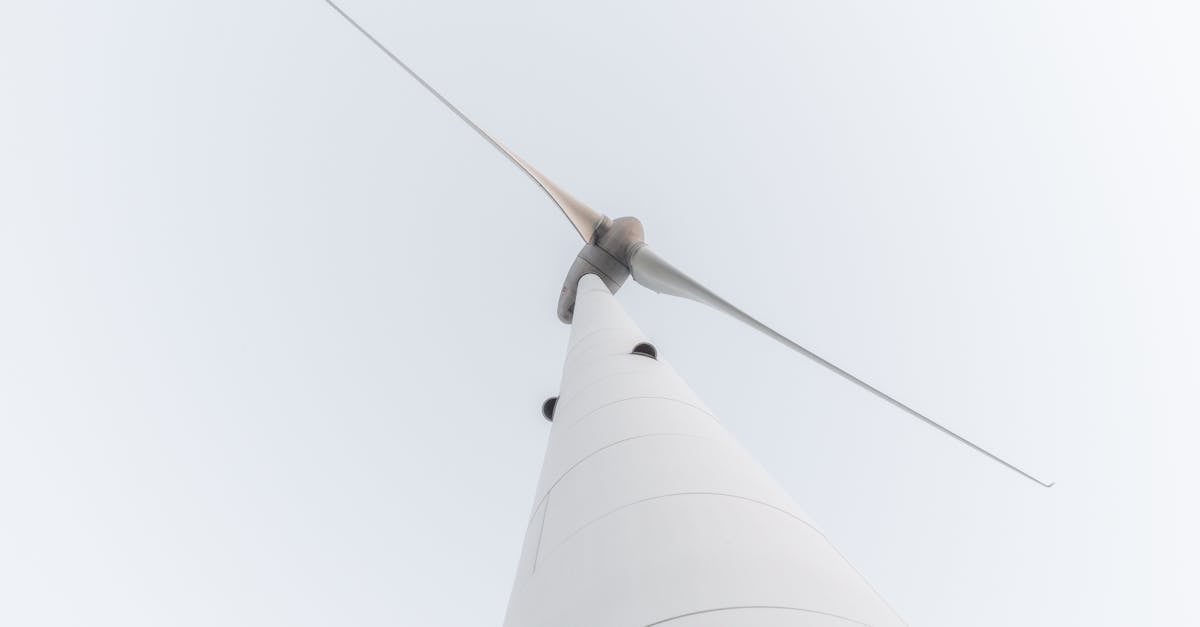 découvrez comment l'innovation durable transforme notre avenir avec des solutions respectueuses de l'environnement, favorisant des pratiques responsables et un développement durable. explorez des idées novatrices qui allient technologie et durabilité pour répondre aux défis mondiaux.