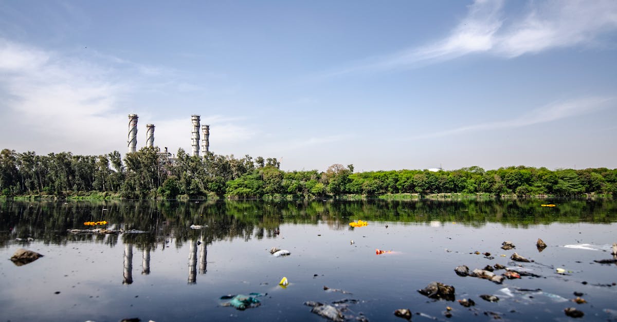 découvrez l'impact de la pollution de l'air sur notre santé et notre environnement. informez-vous sur les causes, les conséquences et les solutions pour améliorer la qualité de l'air que nous respirons.