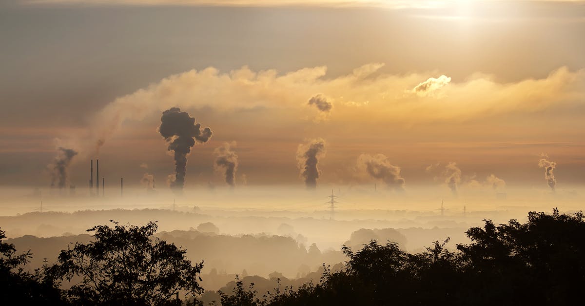 découvrez comment réduire votre empreinte carbone et contribuer à la protection de l'environnement. apprenez des astuces pratiques pour adopter un mode de vie plus durable et limiter votre impact sur la planète.