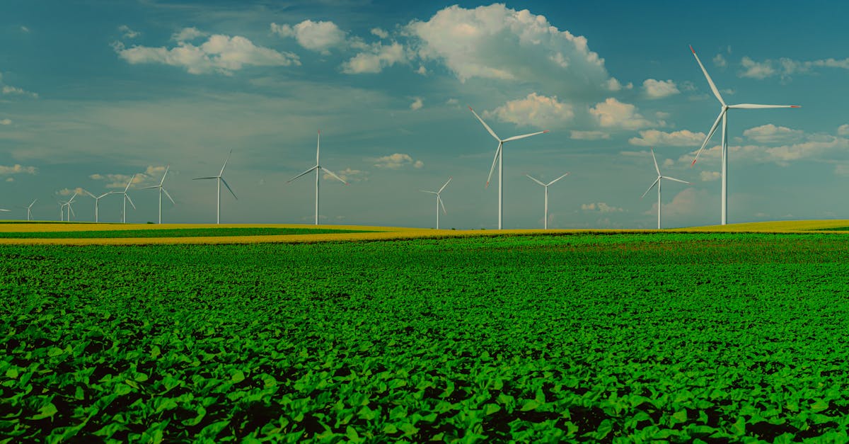 découvrez l'investissement durable : une approche qui allie rentabilité financière et responsabilité environnementale. apprenez à intégrer des critères écologiques, sociaux et de gouvernance dans vos choix d'investissement pour un avenir meilleur.