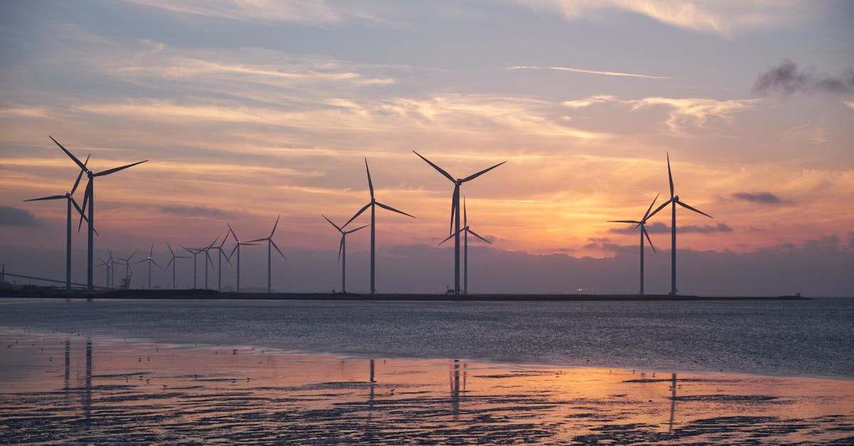 découvrez l'importance de la durabilité dans notre monde moderne, explorez des pratiques écologiques et apprenez comment adopter un mode de vie plus responsable pour préserver notre planète pour les générations futures.