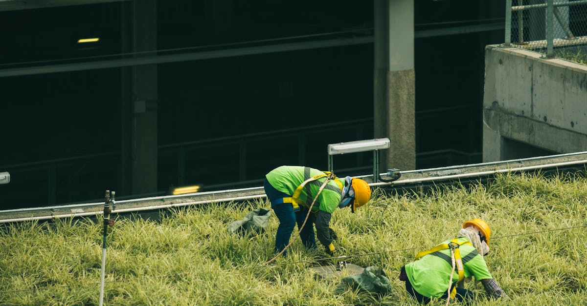 découvrez l'écologie urbaine, une approche qui explore l'interaction entre les écosystèmes urbains et leur environnement. apprenez comment améliorer la qualité de vie en ville tout en préservant la biodiversité et en favorisant un développement durable.