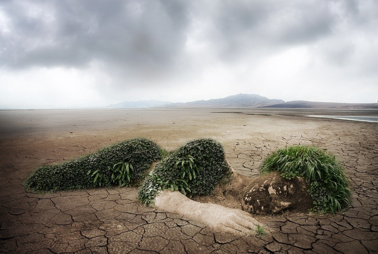 découvrez des stratégies efficaces pour la protection de l'environnement. apprenez comment préserver notre planète, réduire votre empreinte écologique et contribuer à un avenir durable.