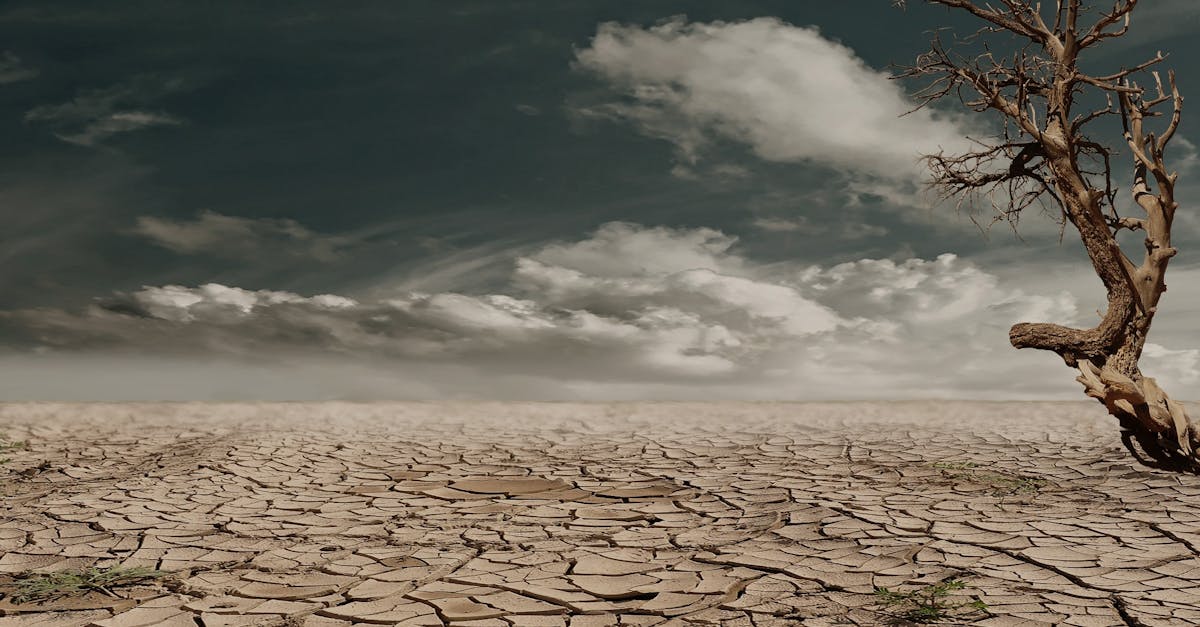 découvrez l'impact environnemental des activités humaines sur notre planète. explorez les enjeux écologiques, les conséquences du changement climatique et les solutions durables pour un avenir respectueux de l'environnement.