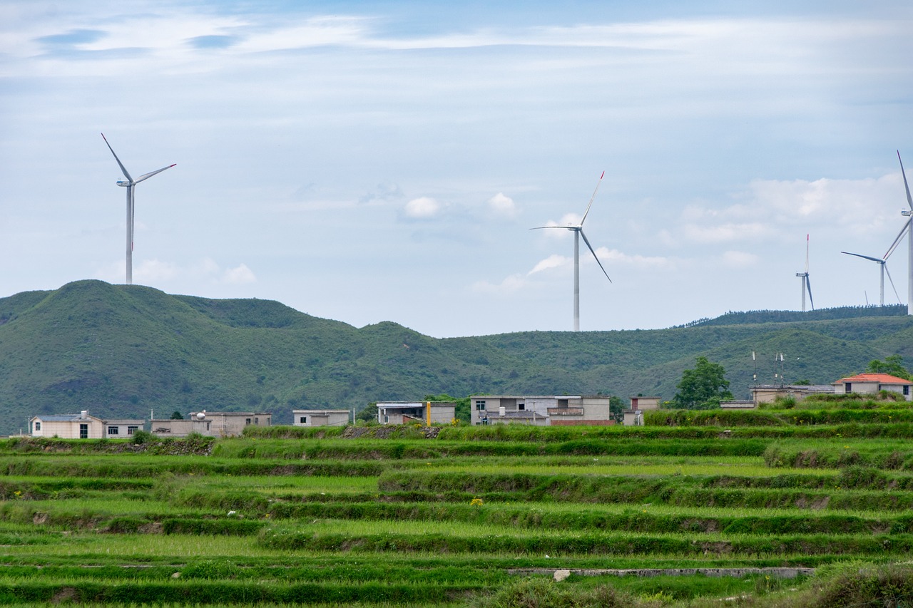 découvrez comment le développement durable façonne notre avenir en conciliant croissance économique, protection de l'environnement et justice sociale. engagez-vous pour une planète viable et apprenez les meilleures pratiques pour un mode de vie durable.