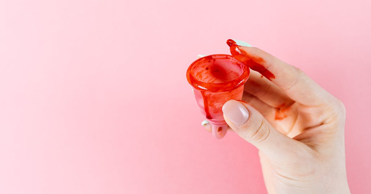 découvrez comment opérer une transition durable vers un avenir plus respectueux de l'environnement. explorez des stratégies, des solutions innovantes et des conseils pratiques pour intégrer la durabilité dans votre quotidien et votre entreprise.