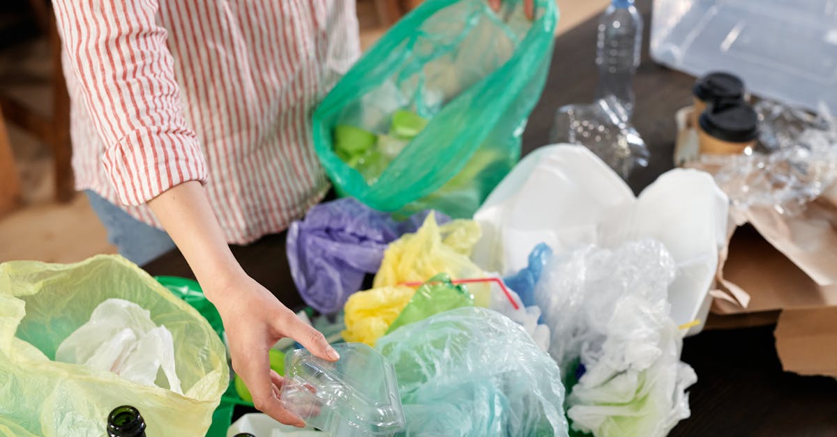 découvrez des stratégies efficaces de réduction des déchets pour un mode de vie plus durable. adoptez des pratiques écologiques, minimisez votre empreinte et contribuez à un avenir meilleur.