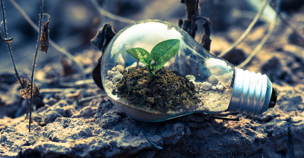 découvrez les avantages de l'énergie propre : une solution durable pour réduire votre empreinte carbone, améliorer la qualité de l'air et promouvoir des pratiques respectueuses de l'environnement. rejoignez la transition vers un avenir énergétique renouvelable !