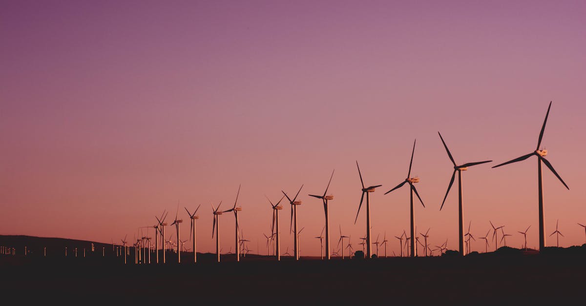 découvrez comment la durabilité transforme notre avenir. explorez des pratiques écologiques, des innovations vertes et des modes de vie responsables pour préserver notre planète.