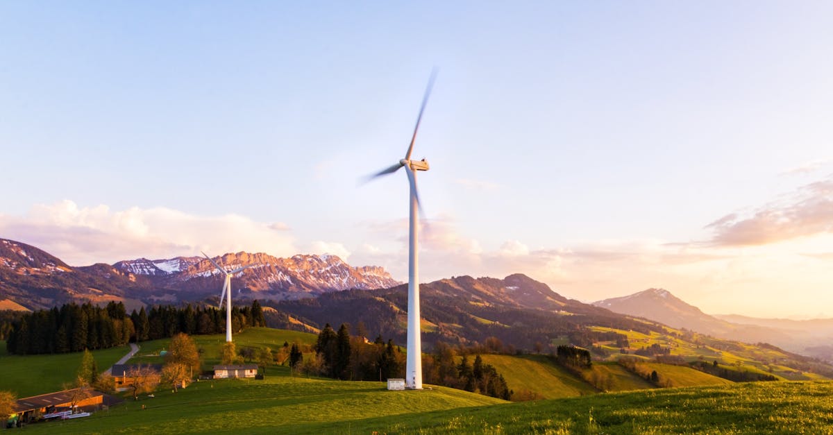découvrez des solutions durables pour un avenir meilleur. apprenez à adopter des pratiques éco-responsables et à contribuer à la préservation de notre planète grâce à des choix conscients.