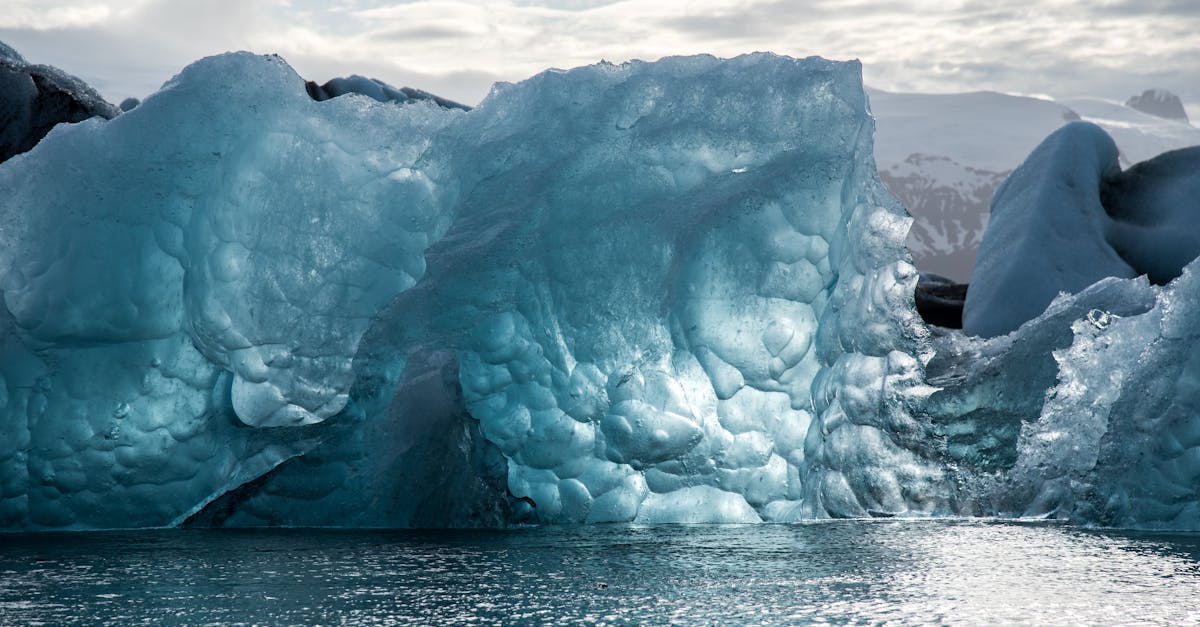 découvrez les enjeux du changement climatique, ses impacts sur notre planète et les solutions pour un avenir durable. informez-vous sur les actions à entreprendre pour lutter contre ce phénomène et préserver notre environnement.