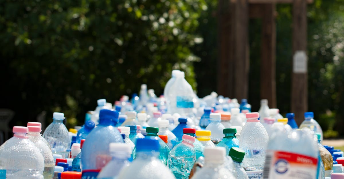 découvrez l'importance du recyclage pour préserver notre planète. apprenez comment trier vos déchets efficacement et contribuer à un avenir durable grâce à des gestes simples au quotidien.
