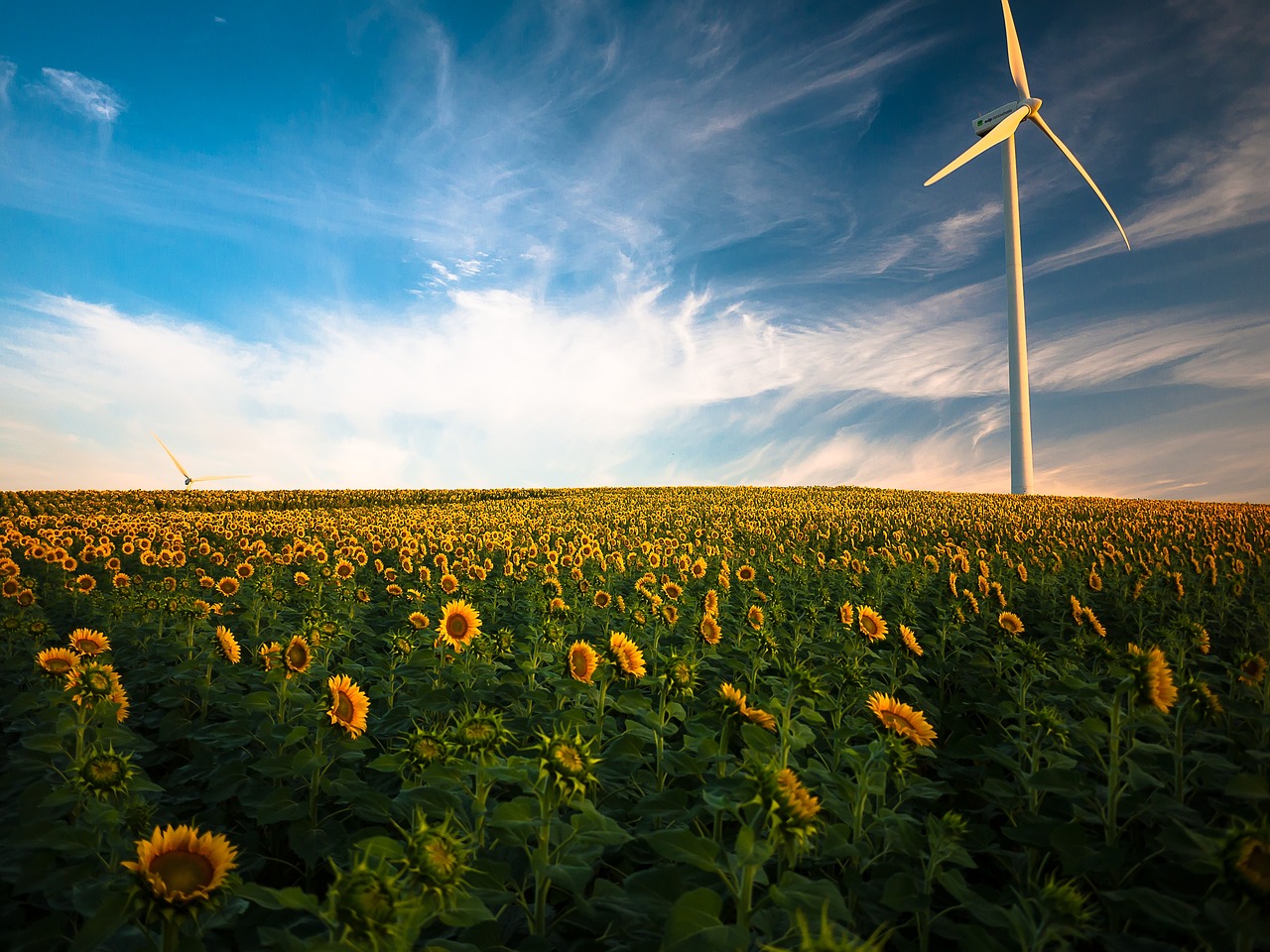 Le doublement du prix de l’électricité : les énergies renouvelables, en particulier l’éolien, en sont-elles responsables ?