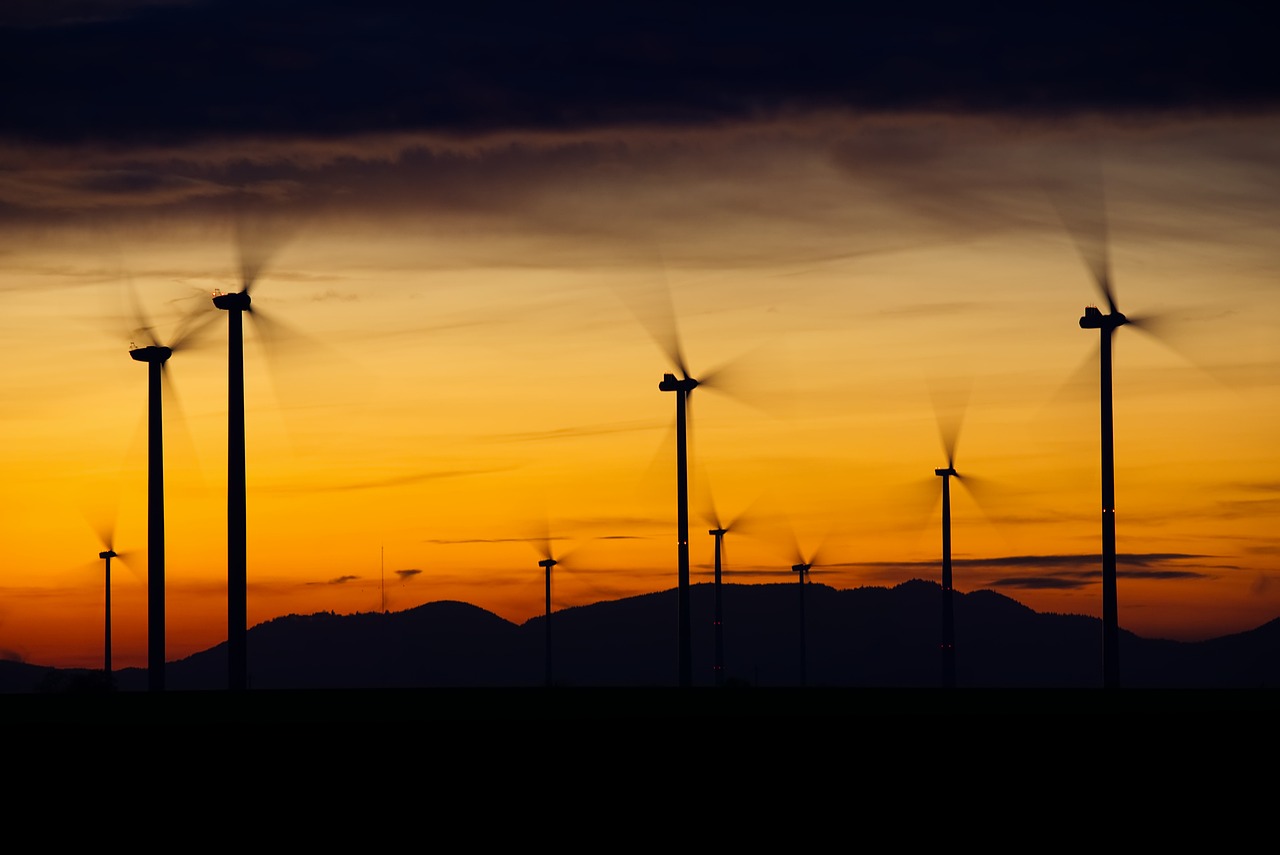 Décryptage des labels écologiques et du bilan carbone des énergies renouvelables
