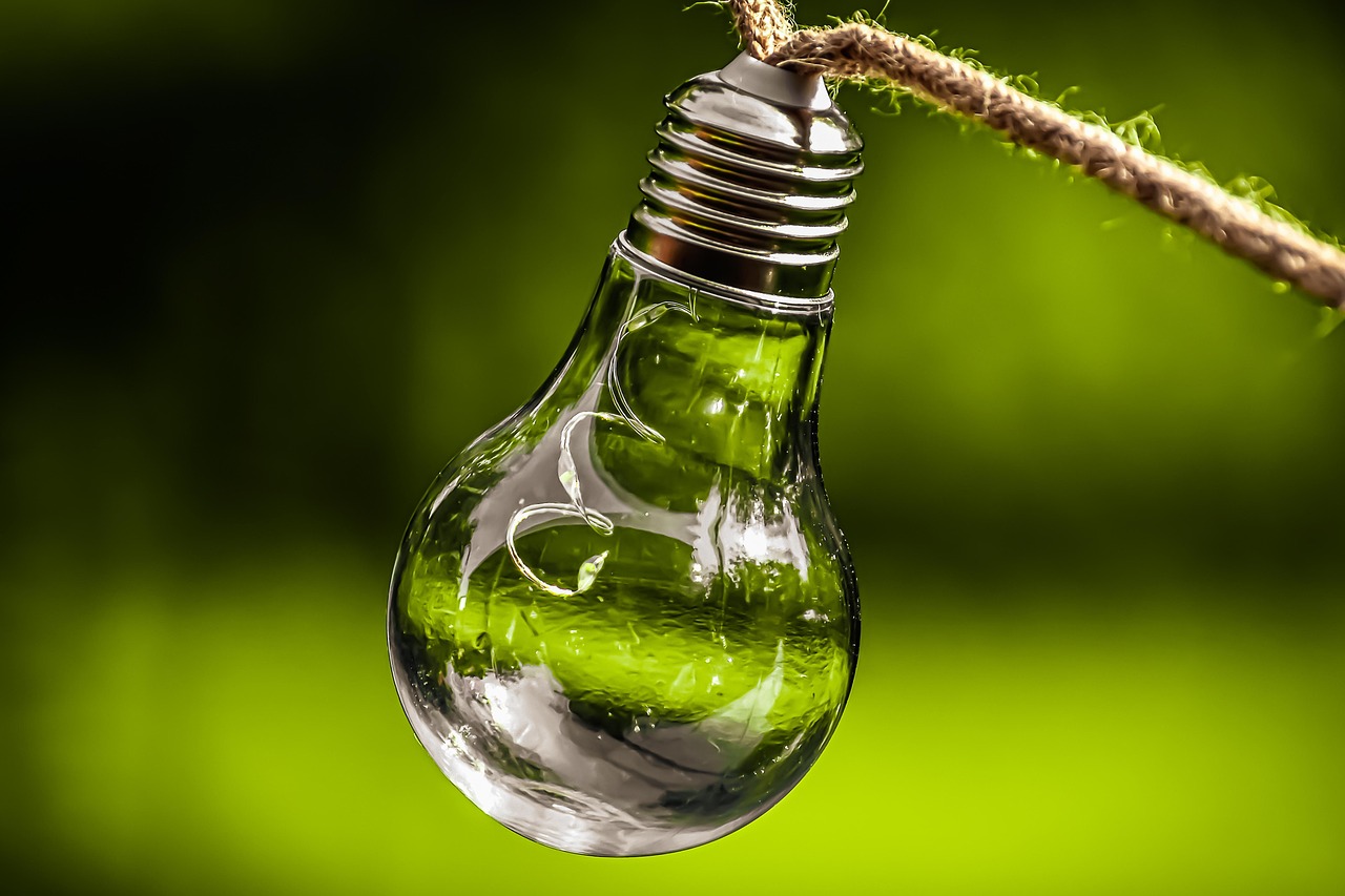 Santé et écologie : guide des outils et pratiques exemplaires pour les établissements sanitaires et médico-sociaux en pleine transition environnementale