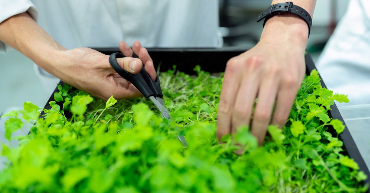 Durabilité : comment innover pour un avenir respectueux de l’environnement