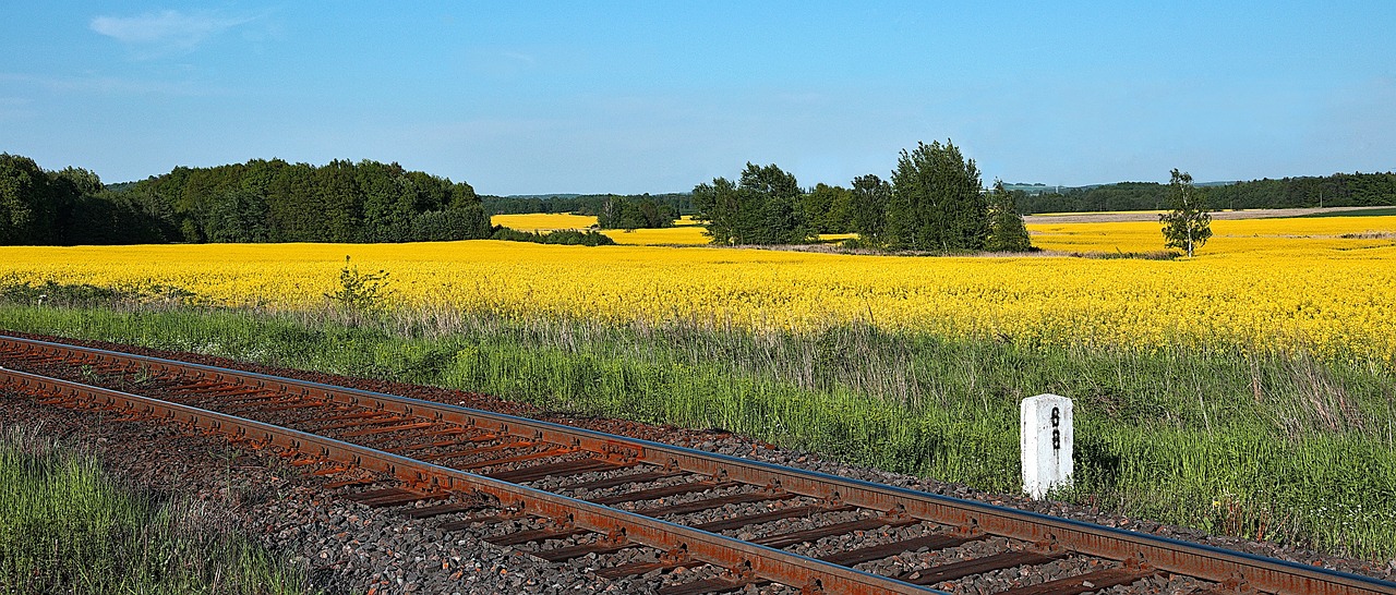 Les biocarburants et le bilan carbone : un sujet controversé