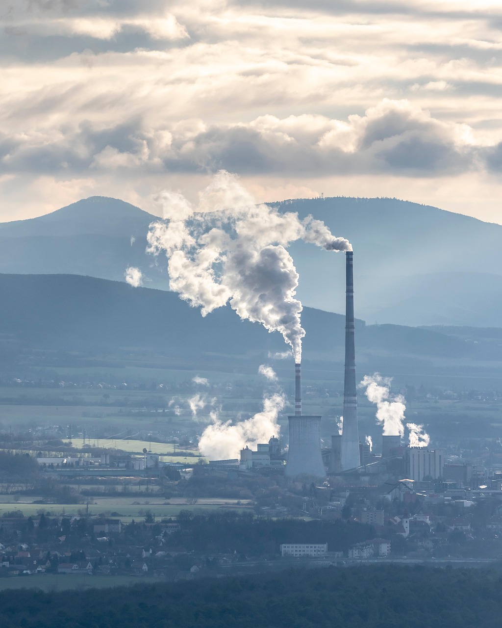 Évaluation carbone : un levier essentiel pour la transition écologique des entreprises