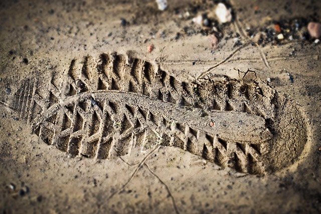 La recherche s’engage pour un avenir durable en intégrant son empreinte écologique