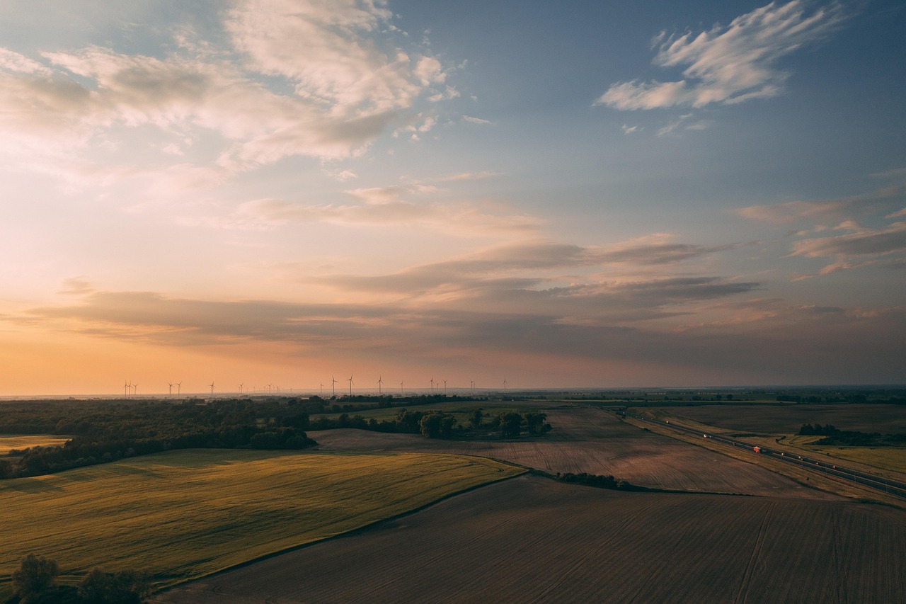 L’engagement de Deloitte envers la durabilité environnementale : une initiative mondiale