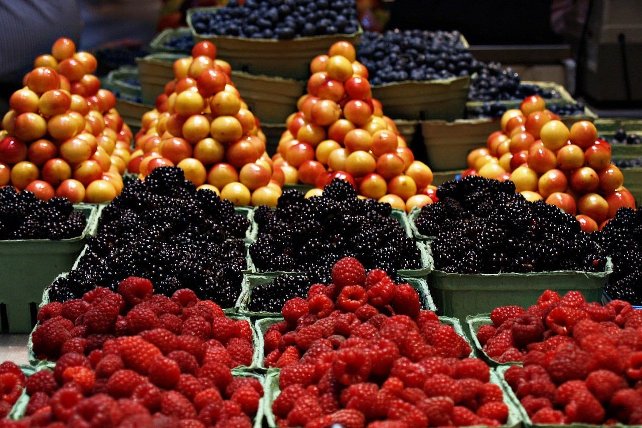 Un nouveau revers pour le marché des crédits carbone