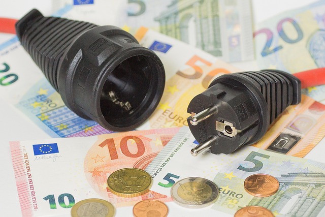 Le CSE : Pilier Essentiel de la Transition Énergétique au Sein des Entreprises