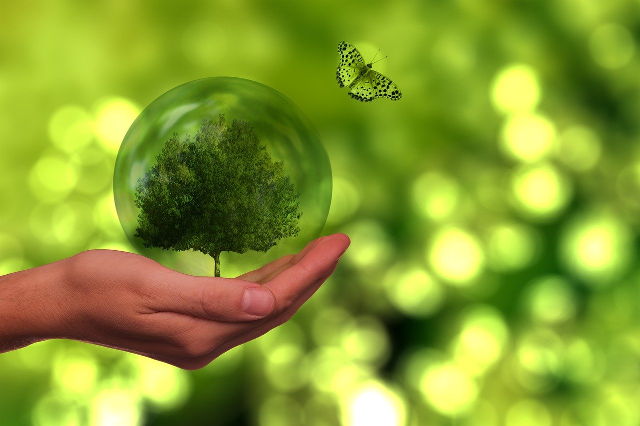 L’impact de l’IA sur les ambitions écologiques de Microsoft : un défi inattendu